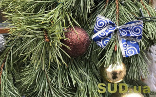 В Киеве будут продавать новогодние елки: назвали цены