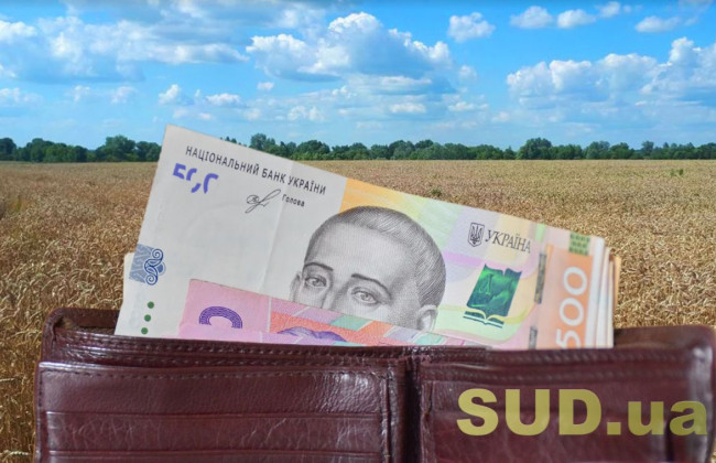 Звернення стягнення на земельні ділянки боржників або прав на них за новими правилами: що варто знати