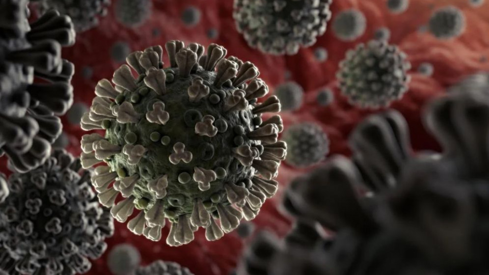 Обнаружили странную связь между пульсом и смертностью от коронавируса