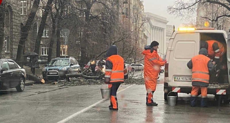 В Киеве возле Офиса Президента на автомобиль рухнуло дерево: фото