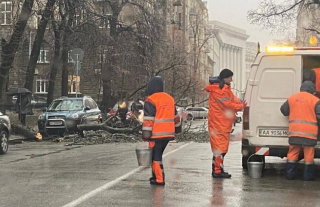 В Киеве возле Офиса Президента на автомобиль рухнуло дерево: фото