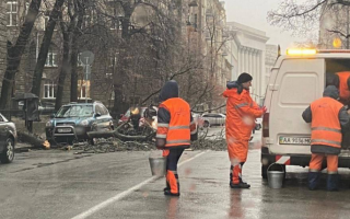 В Киеве возле Офиса Президента на автомобиль рухнуло дерево: фото