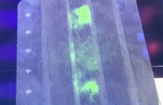 Создана защитная маска, которая начинает светиться при контакте с COVID-19