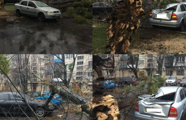 В Киеве начался деревопад: пострадали десятки авто, фото