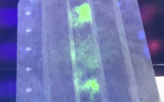 Создана защитная маска, которая начинает светиться при контакте с COVID-19