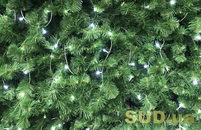 В преддверии Нового года: что лучше купить – живую елку или искусственную