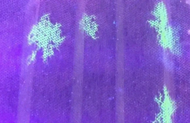 Изобрели уникальную маску, которая «показывает» коронавирус