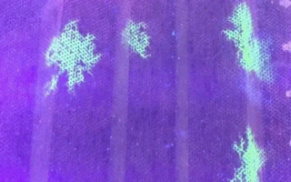 Изобрели уникальную маску, которая «показывает» коронавирус