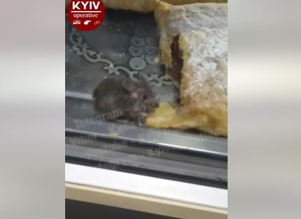 В киевском уличном кафе заметили мышь