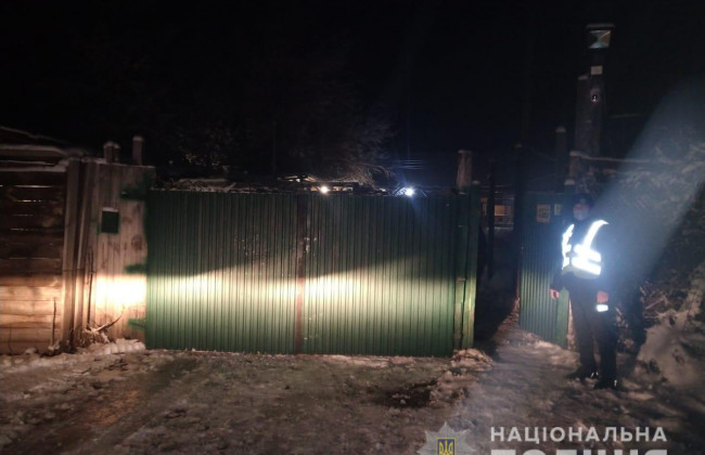 99 собак, одна из которых мертва: в Киеве волонтеры «штурмовали» приют