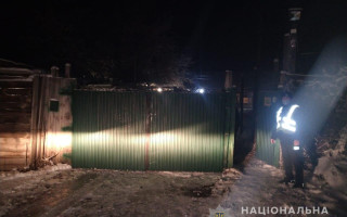 99 собак, одна из которых мертва: в Киеве волонтеры «штурмовали» приют