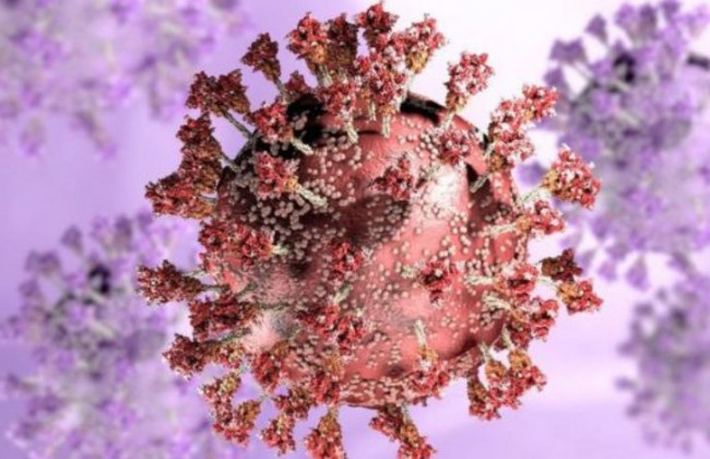 Стало известно, когда штамм «Омикрон» «ударит» в Европе