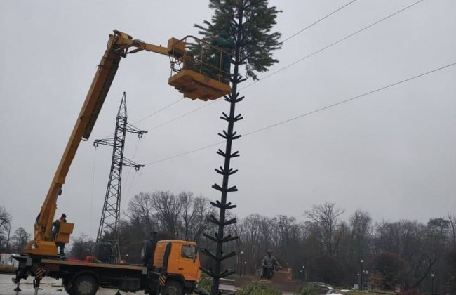 «В Киеве с забот – только елки»: где еще появилось новогоднее дерево