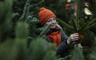 Ялинка 2022: в яку копійку влетить «розкіш»