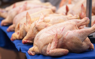 В Украину завезли опасное куриное мясо: кто под угрозой