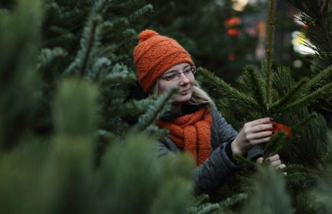 Ялинка 2022: в яку копійку влетить «розкіш»