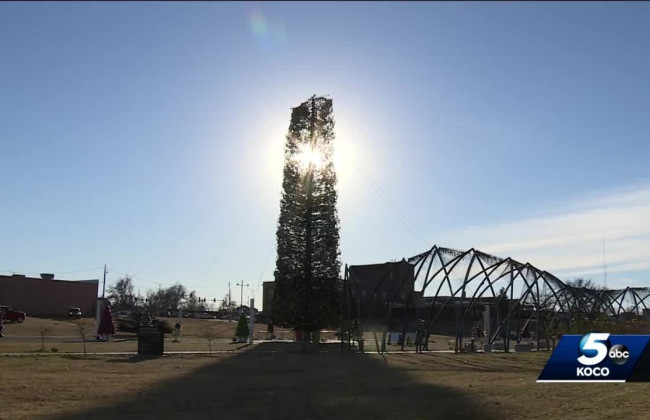 Ветер укоротил самую высокую в мире рождественскую елку