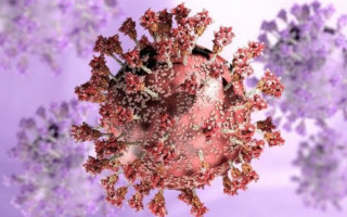 Опубликовали последние данные об опасности штамма «Омикрон»
