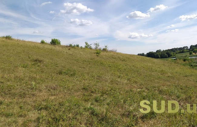 Ринок землі в Україні: коли земля з приватної власності переходить до громади