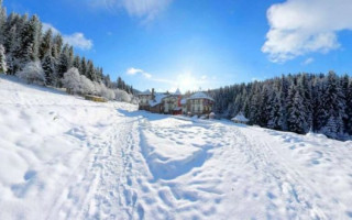 Карпаты накрыли снегопады: есть угроза лавин