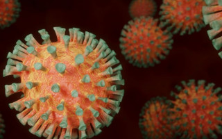 Почему штамм «Омикрон» по своей природе очень далек от «Дельты»