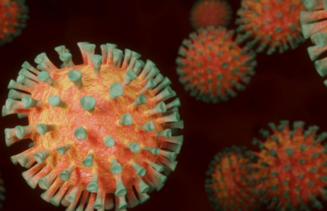 Почему штамм «Омикрон» по своей природе очень далек от «Дельты»