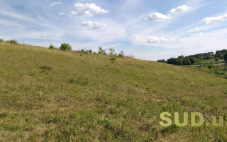 Ринок землі в Україні: коли земля з приватної власності переходить до громади