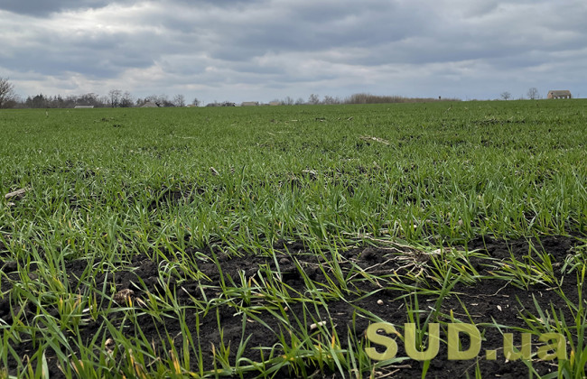 Ринок землі: кількість укладених угод зросла на 40%