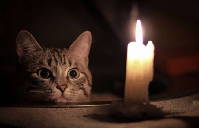 Зимняя непогода: более 240 населенных пунктов остались без света