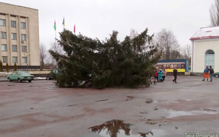 В Житомирской области новогодняя елка сломалась пополам и нанесла большой ущерб: фото