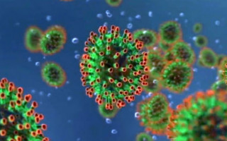 Сможет «выключать» иммунную систему: назвали самый опасный сценарий пандемии