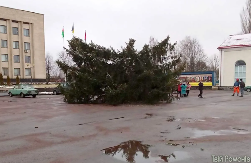 В Житомирской области новогодняя елка сломалась пополам и нанесла большой ущерб: фото