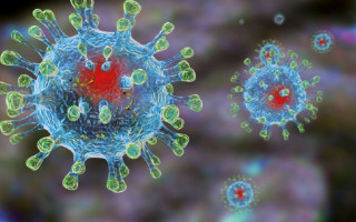 Врач сделал оптимистичный прогноз относительно пандемии коронавируса