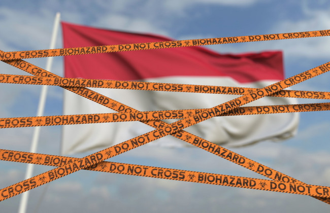 В Индонезии обнаружили первый случай заражения штаммом «Омикрон»