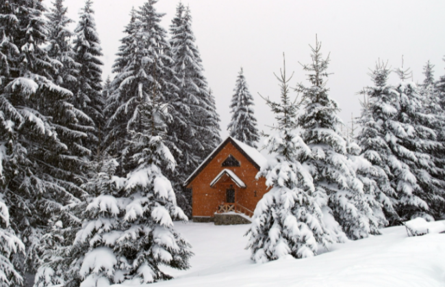 Мошенники обманывают туристов с жильем в Карпатах: как работает схема