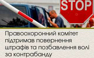 Правоохоронний комітет підтримав повернення штрафів та позбавлення волі за контрабанду