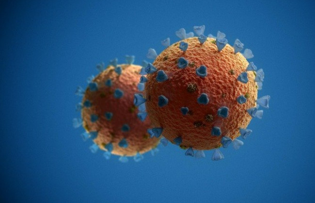 «Омикрон»-штамм мог быть создан искусственно: новое исследование