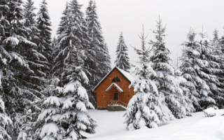 Мошенники обманывают туристов с жильем в Карпатах: как работает схема