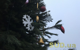 Де купити ялинку в Києві: список адрес