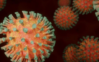 Ученые сделали новое тревожное заявление о штамме «Омикрон»