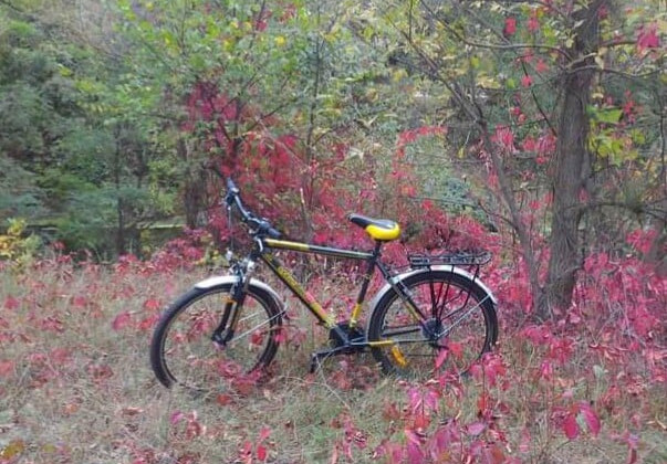 В Киеве у журналиста украли велосипед в день, когда он брал интервью у начальника полиции