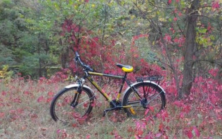 В Киеве у журналиста украли велосипед в день, когда он брал интервью у начальника полиции