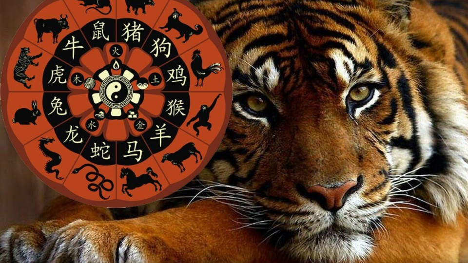 Известны знаки зодиака по восточному календарю, которым Тигр принесет успех в 2022 году