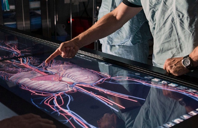 Ученым удалось провести полную трансплантацию легких, пораженных COVID-19