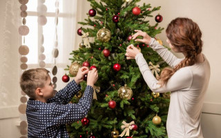 Елочный шопинг: как правильно выбрать живое дерево к празднику