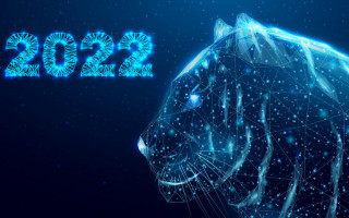 Категорически запрещено: что нельзя делать в Новый год Тигра