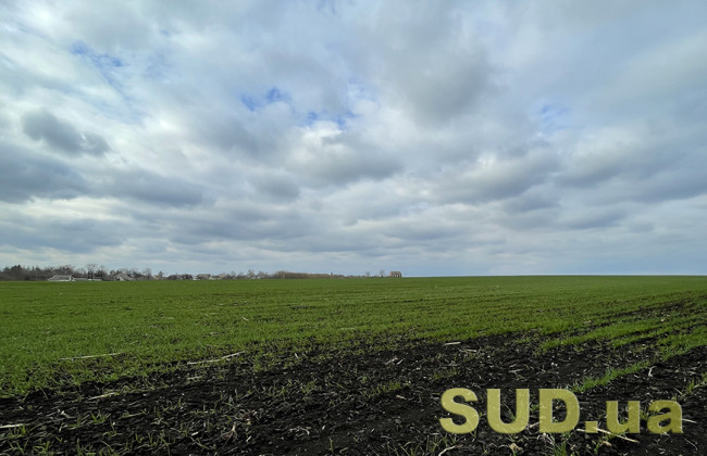 Ставки земельного податку від сільської ради: позиція ВС