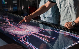 Ученым удалось провести полную трансплантацию легких, пораженных COVID-19