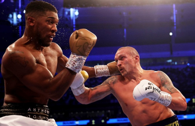 Реванш Усик — Джошуа: оценили шансы на победу британца