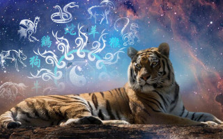 Названы самые везучие знаки зодиака в 2022 году